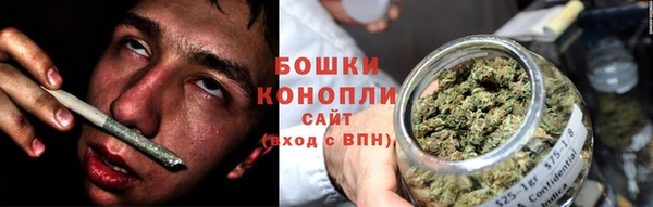 молекула духа Волоколамск