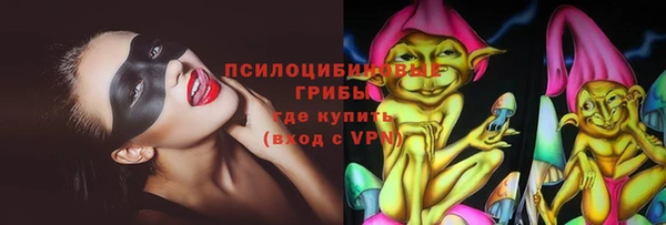 сатива Володарск