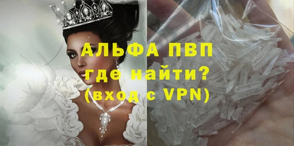 молекула духа Волоколамск