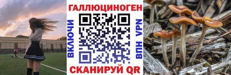 mega вход Новый Оскол Галлюциногенные грибы ЛСД